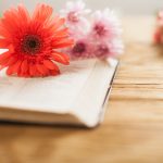 Septiembre Mes de la Biblia